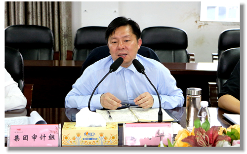 集團黨委委員、紀委書記彭向華強調審計整改工作要深挖思想根源(圖2)