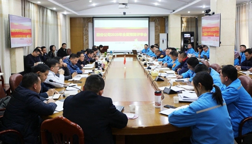 王大真調研指導股份公司、化機公司和TMP新項目2020年財務預算工作(圖1)