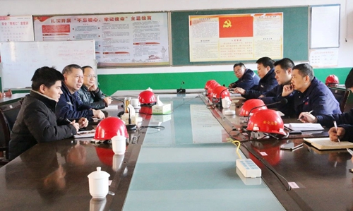 張忠華到雙環(huán)公司現(xiàn)場調研(圖2) 張忠華到雙環(huán)公司現(xiàn)場調研(圖2)