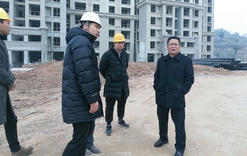 王大真到置業公司現場調研(圖1) 王大真到置業公司現場調研(圖1)