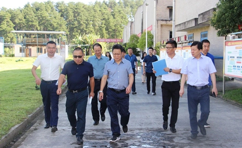 王大真帶隊到金沙酒業現場辦公(圖1) 王大真帶隊到金沙酒業現場辦公(圖1)