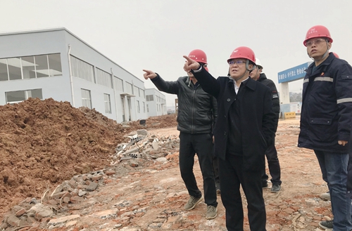 王大真到新材料公司、TPO項(xiàng)目現(xiàn)場(chǎng)和股份公司檢查工作(圖2)