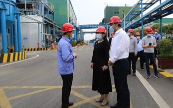 湖北省稅務局黨委委員、副局長何小平一行到楚星公司現(xiàn)場調(diào)研(圖1)