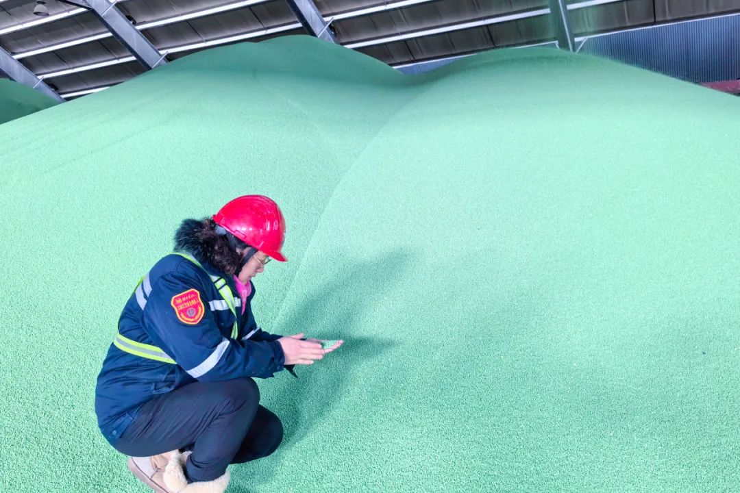 再添新成員!股份公司聚谷氨酸二銨成功下線(圖2) 再添新成員!股份公司聚谷氨酸二銨成功下線(圖2)